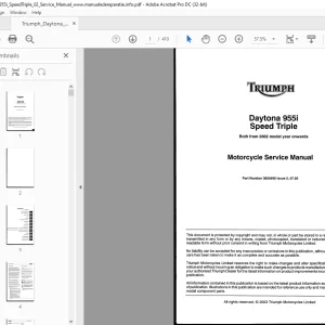 Triumph Daytona 955i Speed Triple Service Manual -  PDF DOWNLOAD