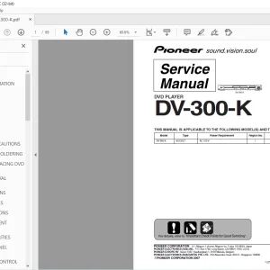 Pioneer DV-300-K DVD Player Service Manual - PDF DOWNLOAD