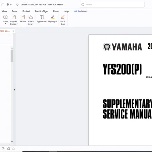 Yamaha 2002 YFS200(P) 2XJ-AE2 SUPPLEMENTARY SERVICE MANUAL - PDF