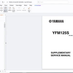 Yamaha YFM125S 3FA-AE2 SUPPLEMENTARY SERVICE MANUAL - PDF