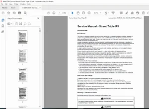 Triumph Street Triple RS Service Manual PDF