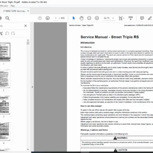 Triumph Street Triple RS Service Manual PDF