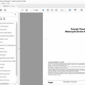 Triumph Thunderbird 1600 / 1700 Service Repair Manual – PDF Download