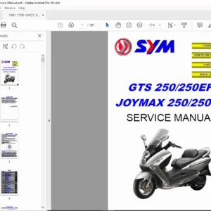 SYM GTS 250 / Joymax 250 (Carb & EFI) Service Manual - PDF