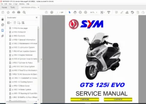 SYM GTS 125i EVO Service Manual PDF DOWNLOAD