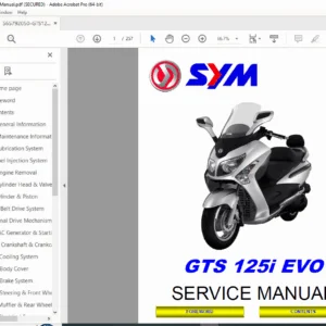 SYM GTS 125i EVO Service Manual PDF DOWNLOAD