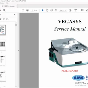 Vegasys Analyzer Service Manual - Maintenance, Diagnostics & Calibration PDF