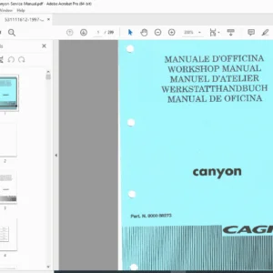 1997 Cagiva Canyon Workshop Service Manual (PDF)
