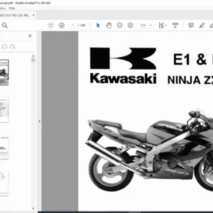 Kawasaki Ninja ZX-9R E1 E2 Service Manual 2000-2001 PDF