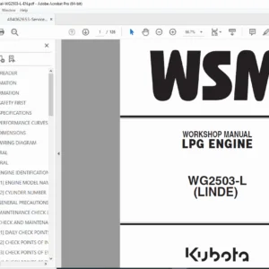 Kubota WG2503-L LPG Engine Service Manual & Repair Guide (Linde) PDF
