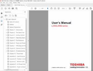 Toshiba Satellite L300/L300D Series User's Manual PDF