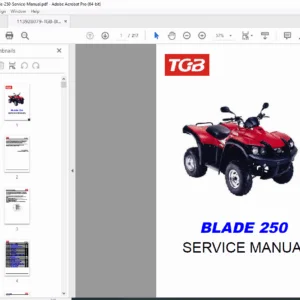 TGB Blade 250 ATV Service & Repair Manual PDF DOWNLOAD