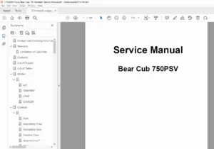VIASYS Bear Cub 750PSV Infant Ventilator Service Manual (Rev B, 2004) – PDF Download