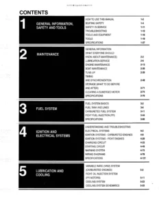 Johnson Evinrude 1992-2001 V4 V6 V8 FICHT Carbureted Outboard Service Manual PDF Download