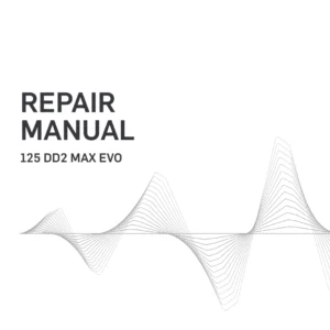 Rotax 125 MAX DD2 evo Repair Manual PDF Download