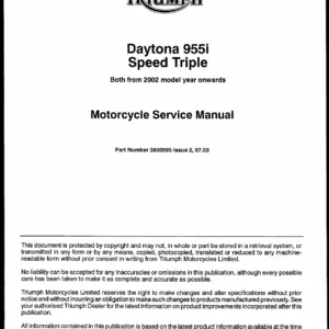 2002 Triumph Daytona 955i & Speed Triple 955 Service Manual - PDF