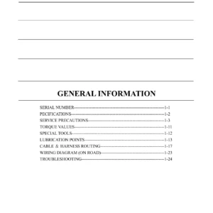 Access SP450 Speed ATV Service Manual