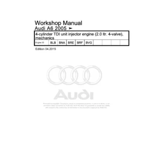 Audi A6 2005 2.0 Ltr 4-Cylinder TDI Unit Injector Engine Workshop Manual BLB BNA BRE BRF BVG