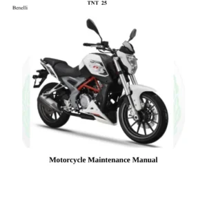 Benelli TNT 25 250 Euro IV ABS Service Manual - Motorcycle Maintenance Manual PDF