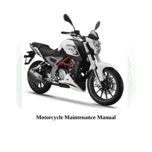 Benelli TNT25 BN251 Service Manual PDF - Complete Workshop Repair Guide