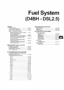 Hyundai D4BH DSL2.5 Fuel System Workshop Manual - PDF Download