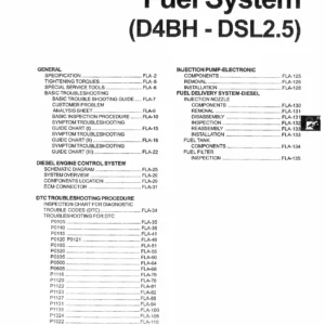 Hyundai D4BH DSL2.5 Fuel System Workshop Manual - PDF Download
