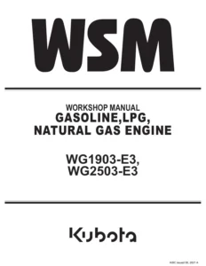 Kubota WG1903-E3 WG2503-E3 Gasoline LPG Natural Gas Engine Workshop Manual
