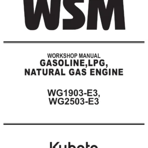 Kubota WG1903-E3 WG2503-E3 Gasoline LPG Natural Gas Engine Workshop Manual