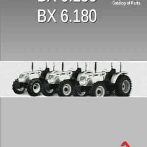 Agrale BX 6.150 BX 6.180 Tractor Parts Catalog - Multilingual PDF Download