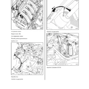 Aprio K4M Engine Control System Section EC Repair Manual - EMS Gasoline Injection Diagnostics