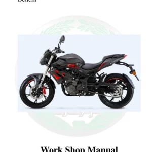Benelli TNT 25N Complete Workshop Manual - 504 Pages