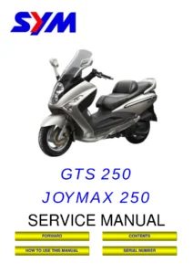 SYM GTS 250 Joymax 250 Scooter Service Manual PDF - LM25W Series Workshop Guide