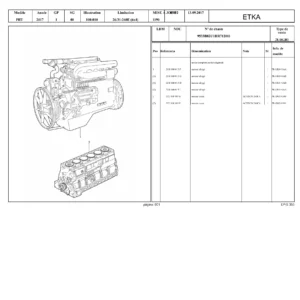 Worker 26-31-260E (6x4) ETKA Parts Catalog 2017 – French Edition PDF